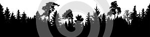 Forest silhouette vector. Scotch fir, Christmas Tree, spruce, fir, pine. Seamless panorama photo